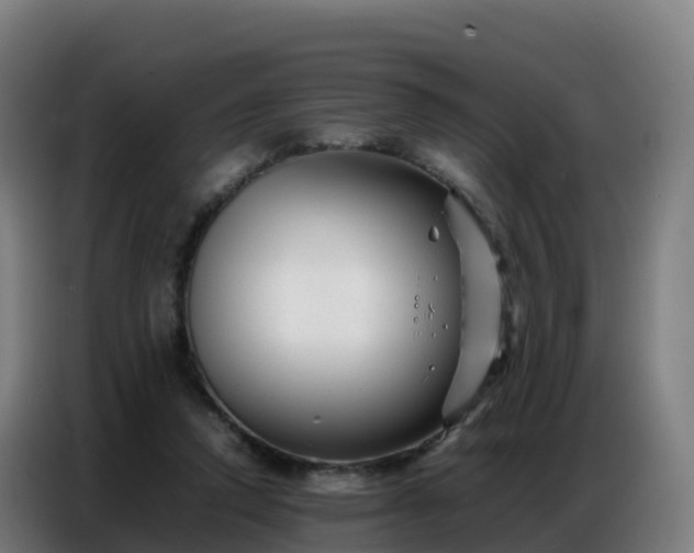 X0000086740354200704201710