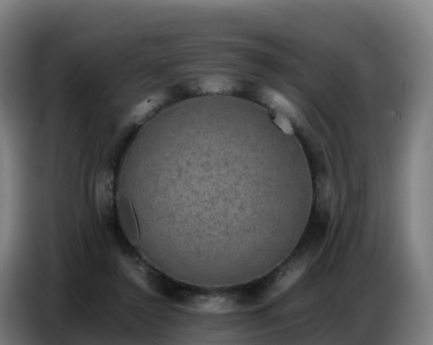 X0000086740356200704201710