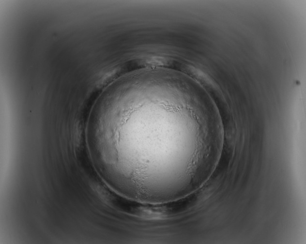 X0000086740359200704201710