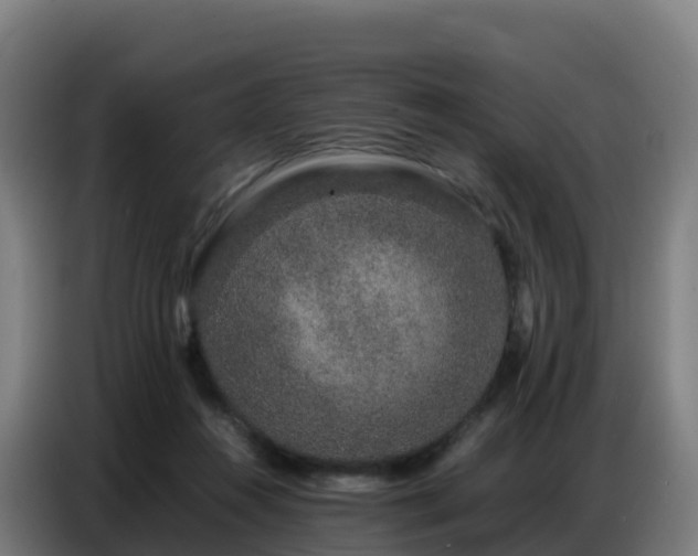 X0000086740360200704201710