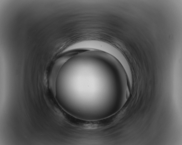 X0000086740362200704201710