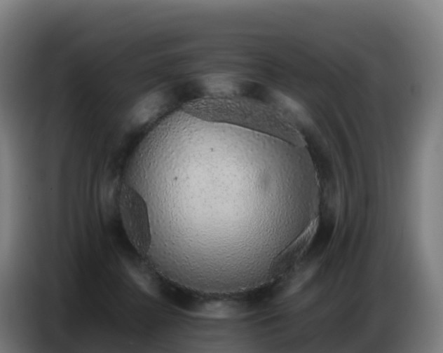 X0000086740364200704201710