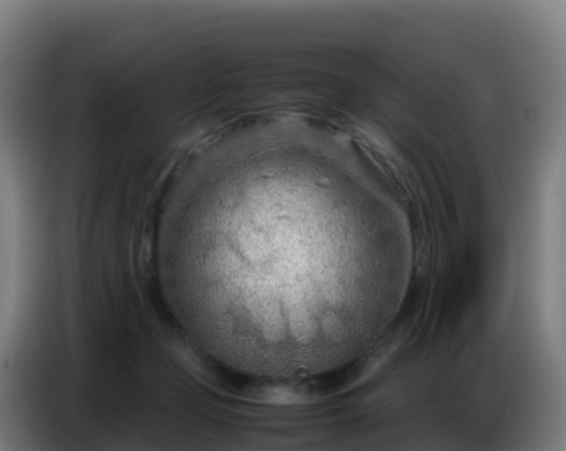 X0000086740365200704201710