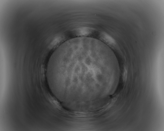 X0000086740366200704201710