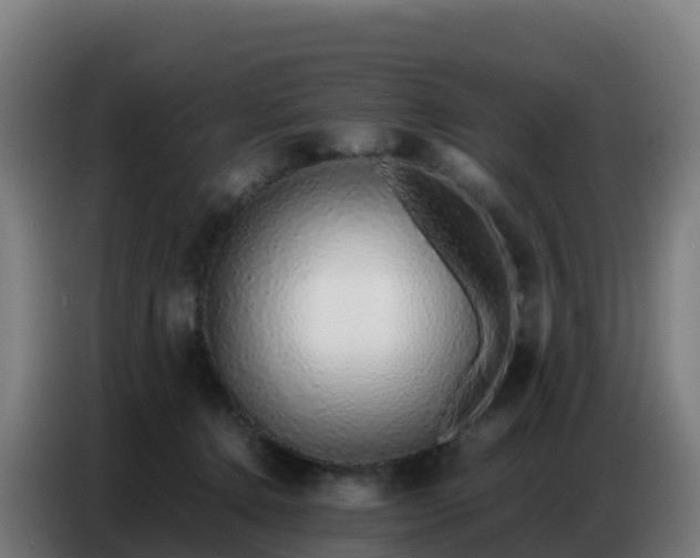 X0000086740368200704201710