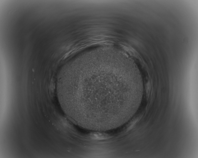 X0000086740372200704201710