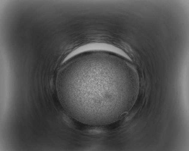 X0000086740377200704201710