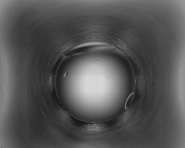 X0000086740378200704201710