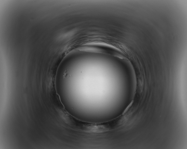 X0000086740379200704201710