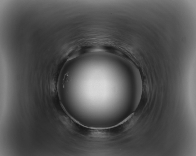 X0000086740380200704201710