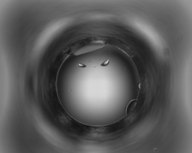 X0000086740382200704201710