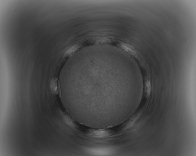 X0000086740383200704201710