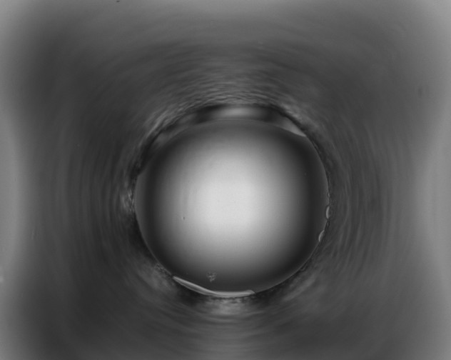 X0000086740384200704201710