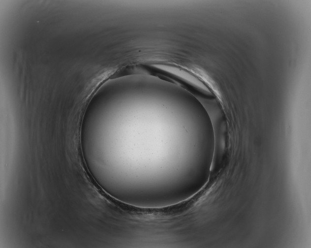 X0000086740385200704201710