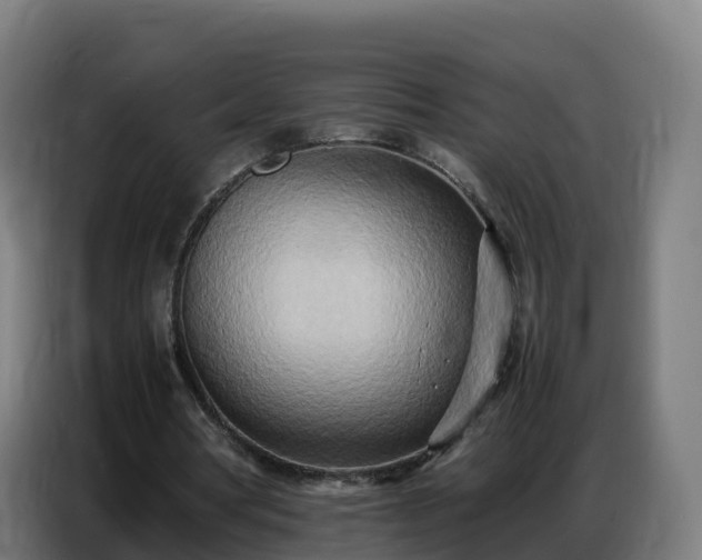 X0000086740386200704201710