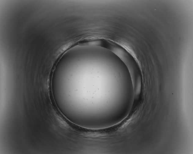 X0000086740389200704201710