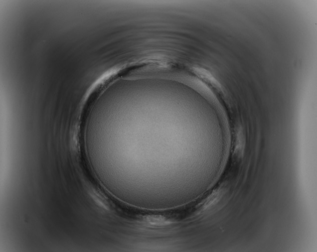 X0000086740392200704201710