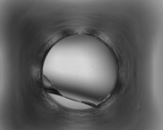 X0000086740393200704201710