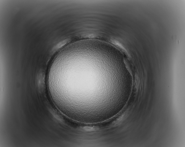 X0000086740394200704201710