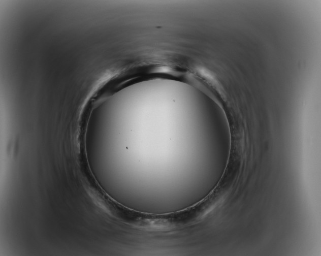 X0000086740395200704201710