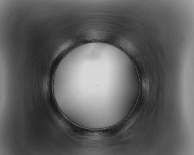 X0000086740396200704201710