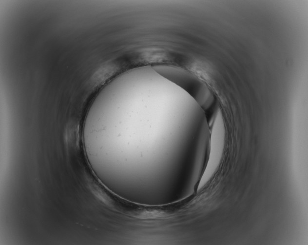 X0000086740397200704201710