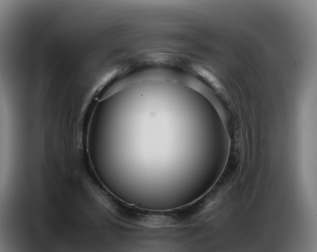 X0000086740399200704201710