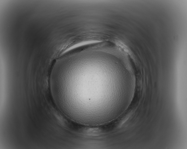 X0000086740401200704201710