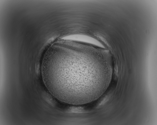 X0000086740403200704201710