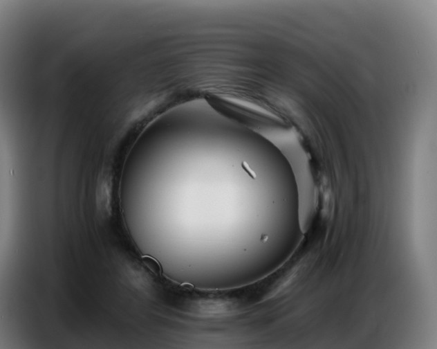 X0000086740404200704201710