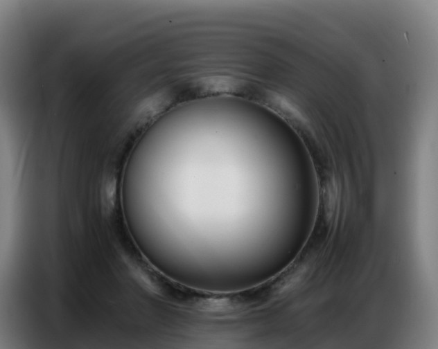 X0000086740406200704201709