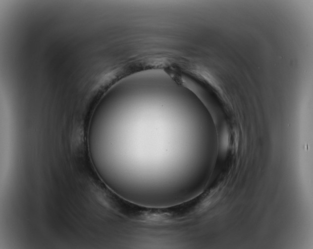 X0000086740407200704201709