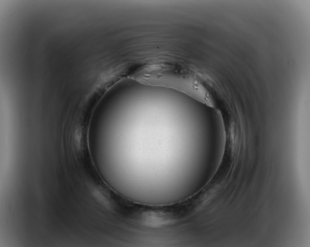 X0000086740408200704201709