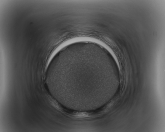 X0000086740409200704201709