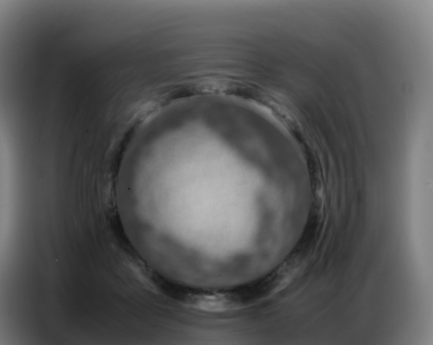 X0000086740411200704201709