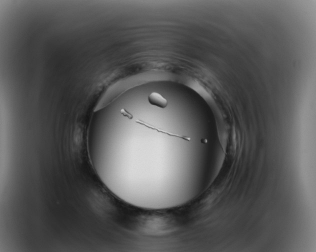 X0000086740412200704201709