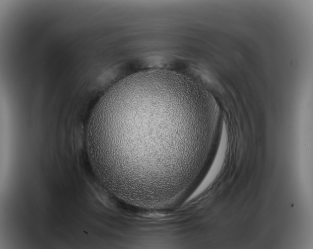 X0000086740413200704201709