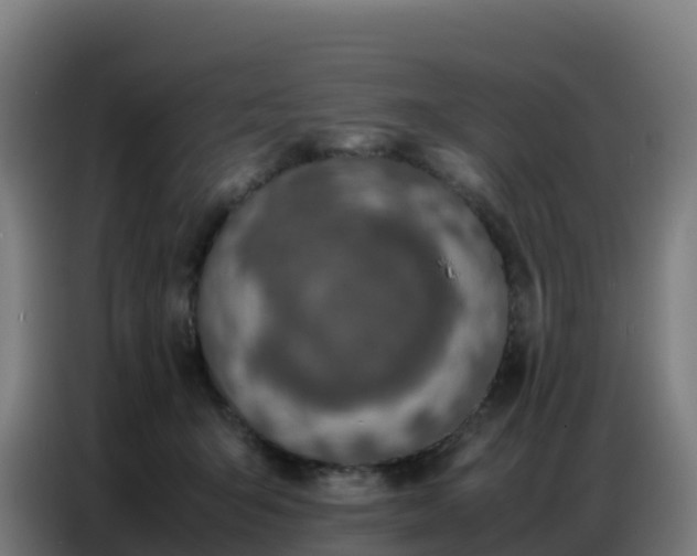 X0000086740415200704201709