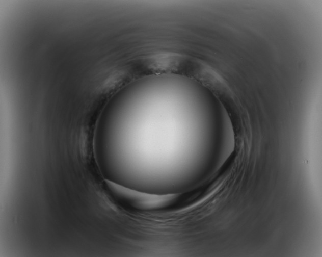 X0000086740416200704201709