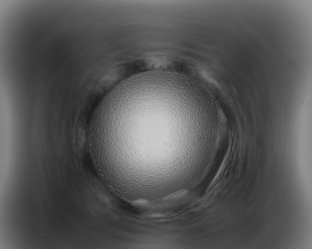 X0000086740417200704201709