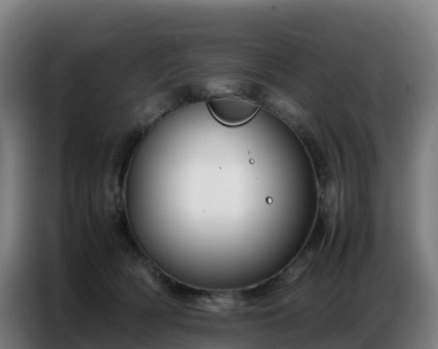 X0000086740418200704201709