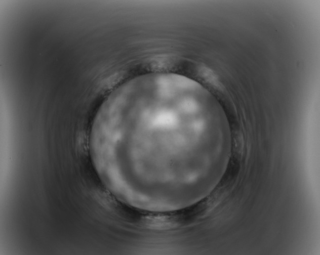 X0000086740419200704201709