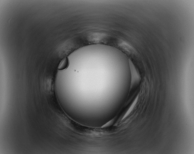 X0000086740420200704201709