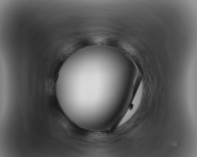 X0000086740421200704201709