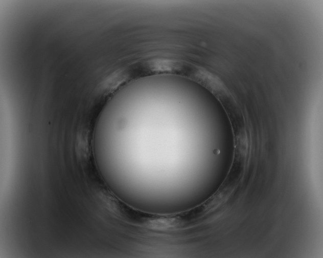 X0000086740422200704201709