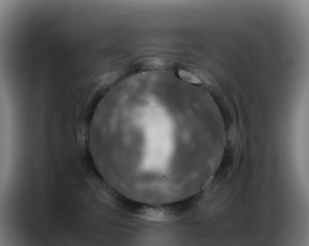 X0000086740423200704201709