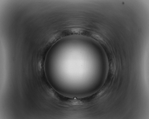 X0000086740424200704201709