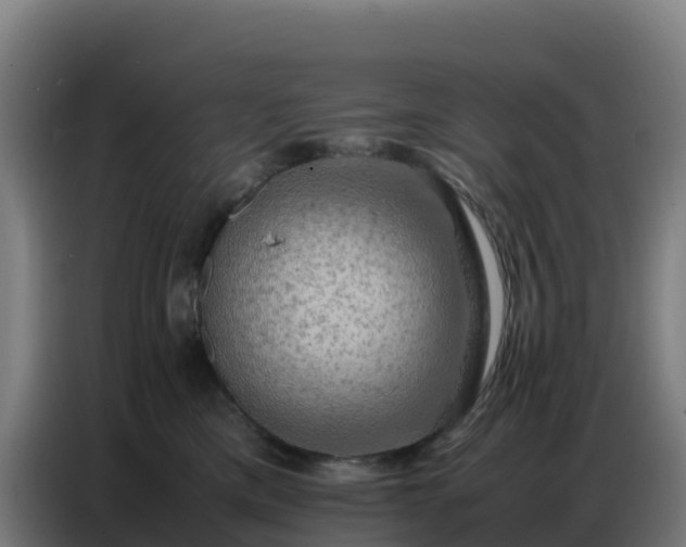 X0000086740425200704201709