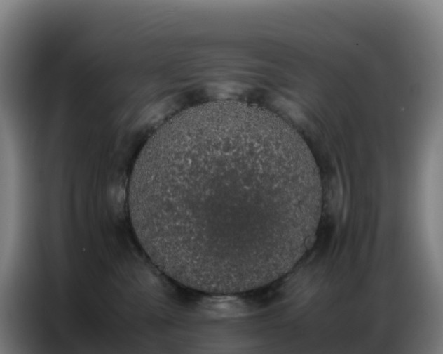 X0000086740427200704201709