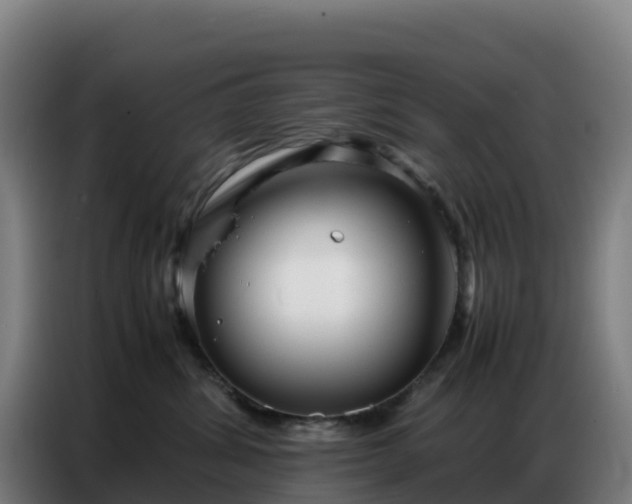 X0000086740428200704201709